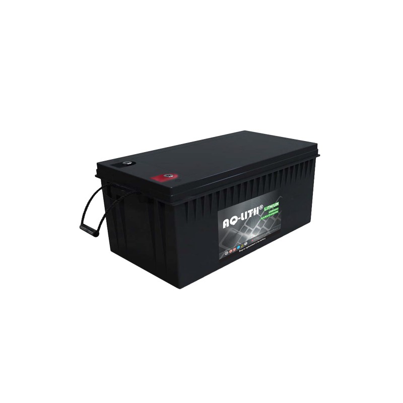ECTIVE LiFePO4 12V 300Ah batterie decharge lente Lithium, marine, moteur  electrique bateau, camping car - Cdiscount Auto